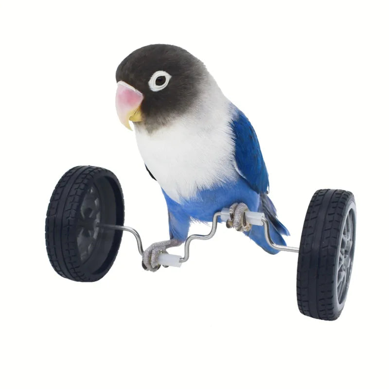 Balance Toy for Birds