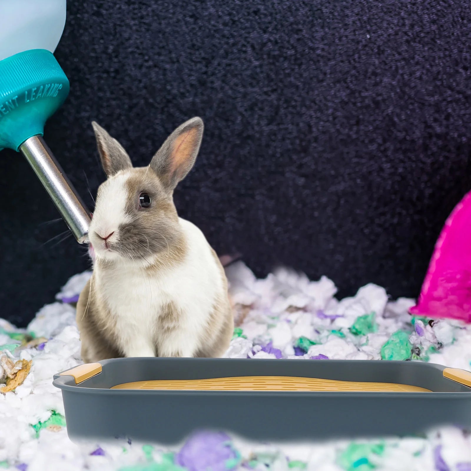 Toilet Box For Rabbits, Adult Hamsters And Guinea Pigs