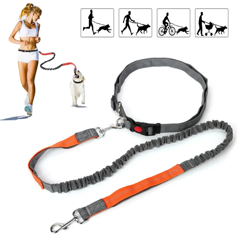 Retractable Dog Leash with Adjustable Waist Rope