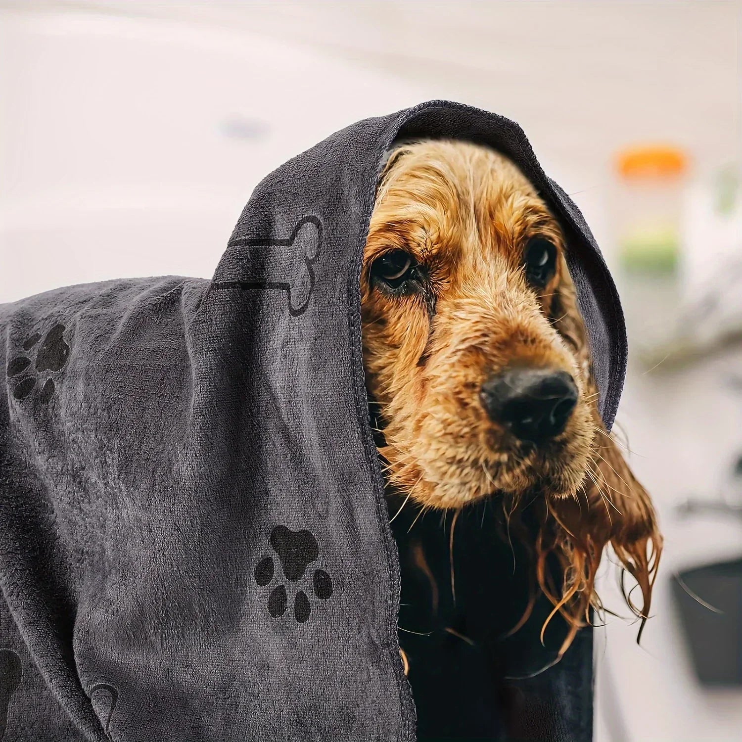 Quick Towel Drying Dog Cat