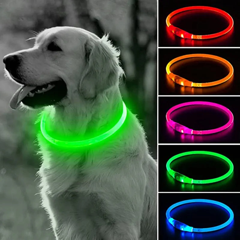 Led Dog Collar Luminous with Usb charge