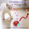 Rolling Ball With Bird Song For Cats