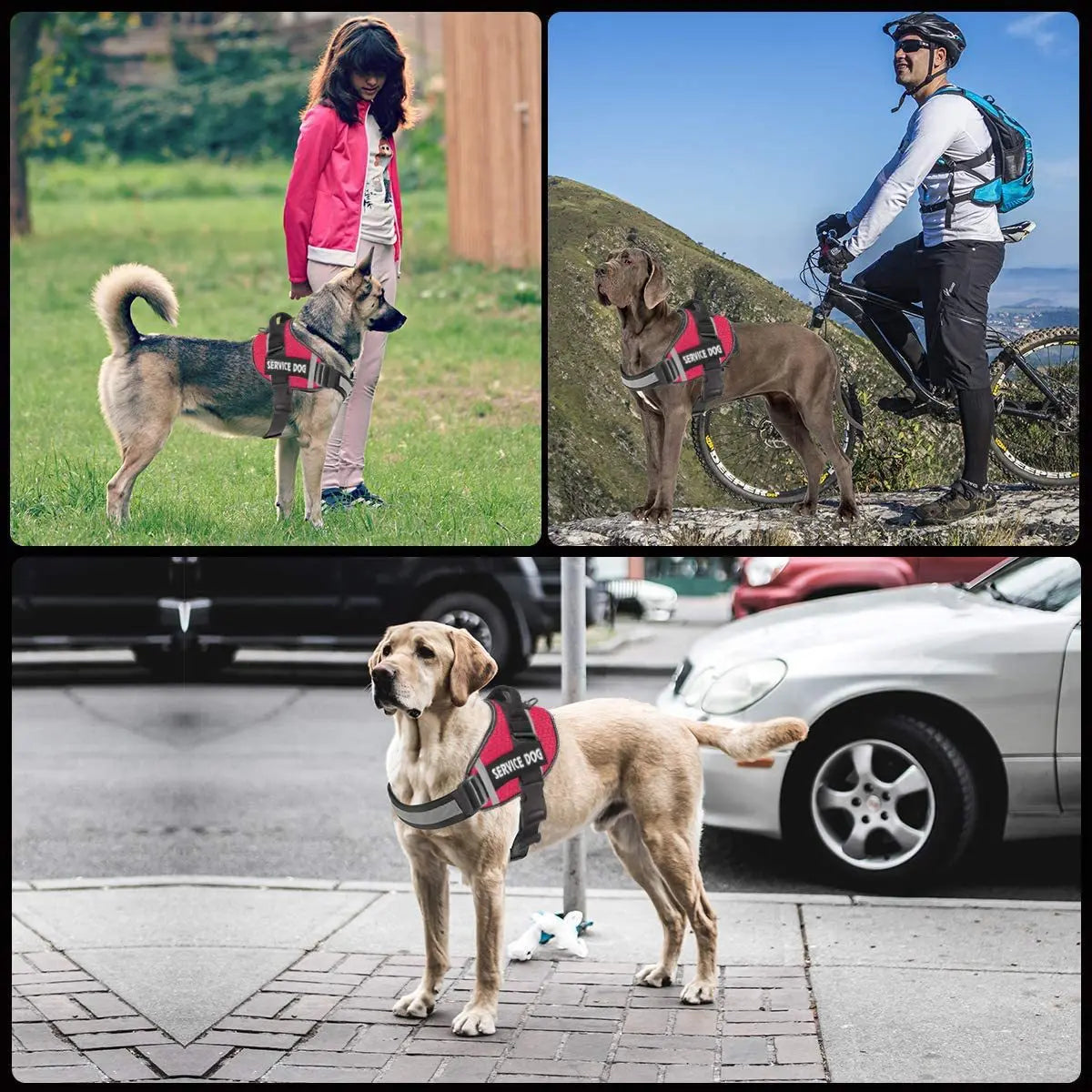 Pet Vest Harness