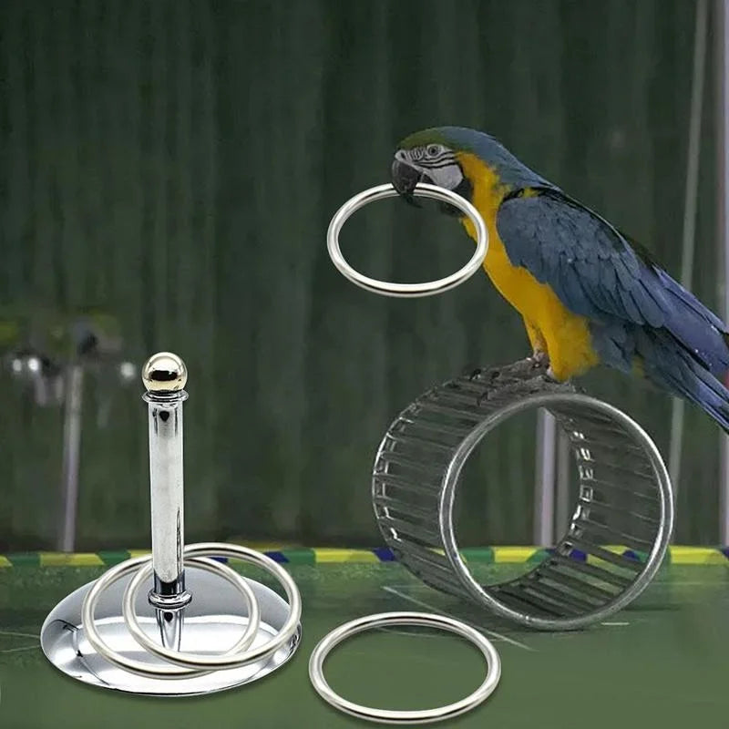 Stackable Metal Rings for Parrots