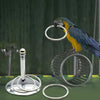 Stackable Metal Rings for Parrots