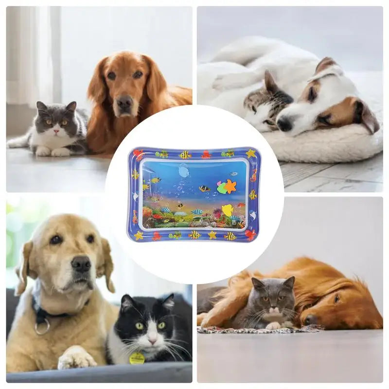 Pet Water Play Mat