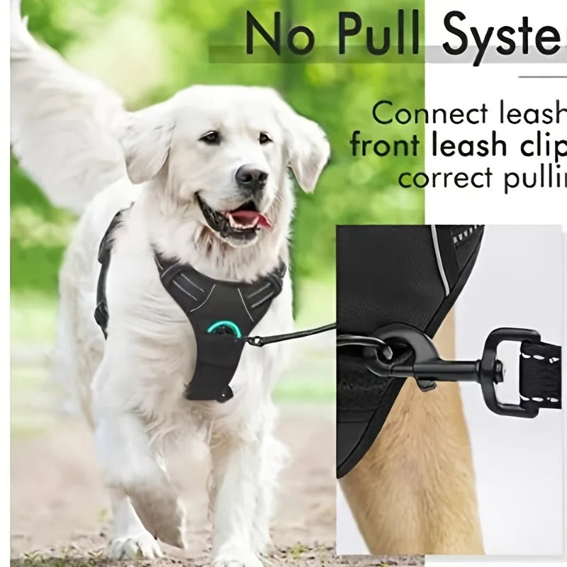 No-pull pet harness with 2 leash clips