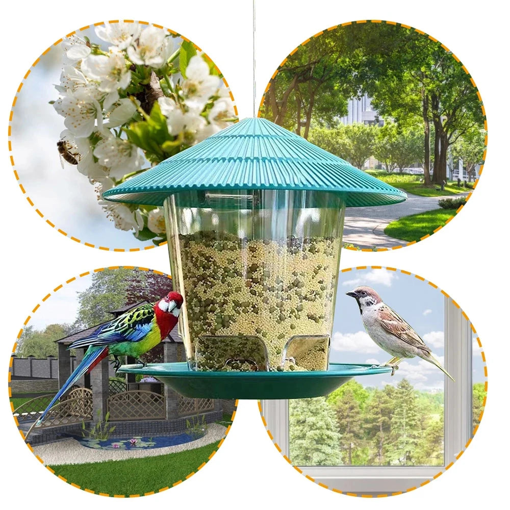 Bird Automatic Feeding Tool