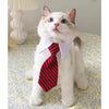 Elegant Collar With Tie For Cats