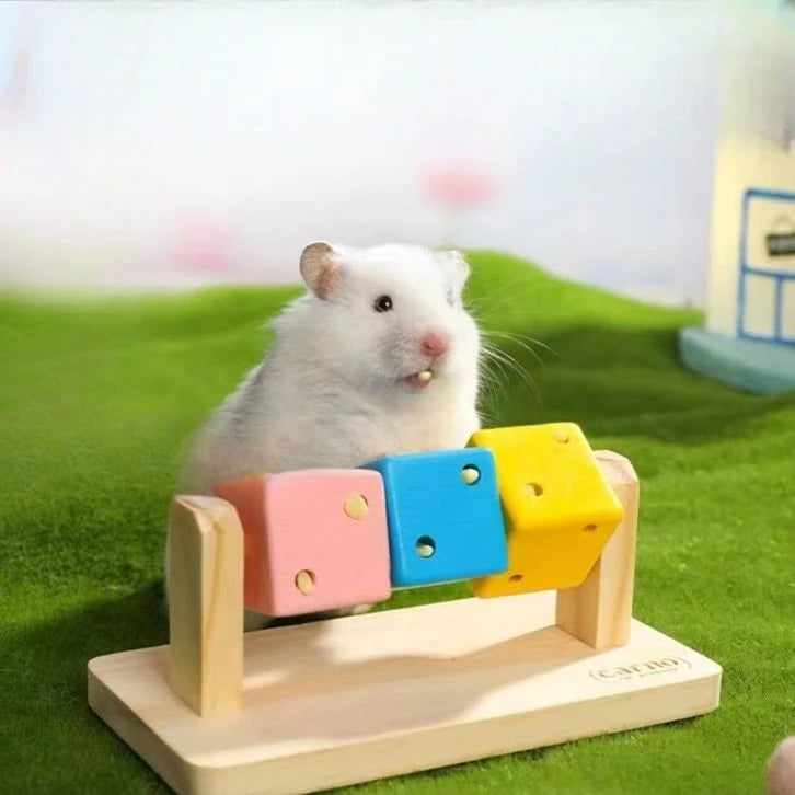 Fun Rubik's Cube For Hamsters