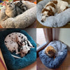 Cushion  Sofa for Pets