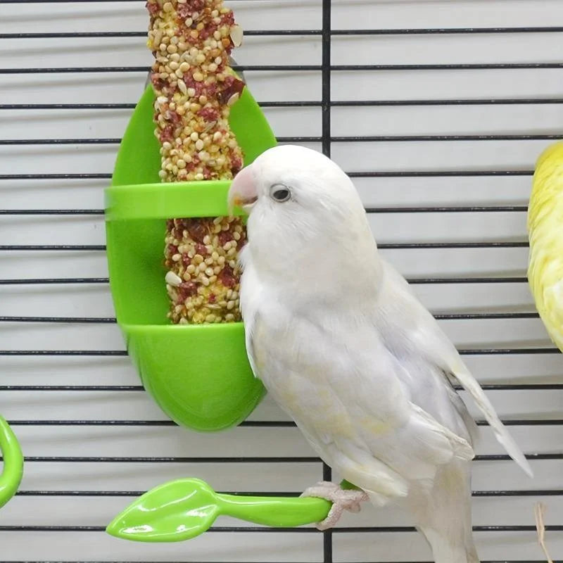 Bird Food Holder