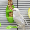 Bird Food Holder