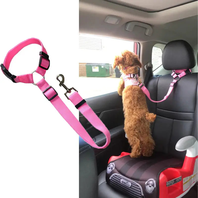 Seatbelt Secured Car Leash