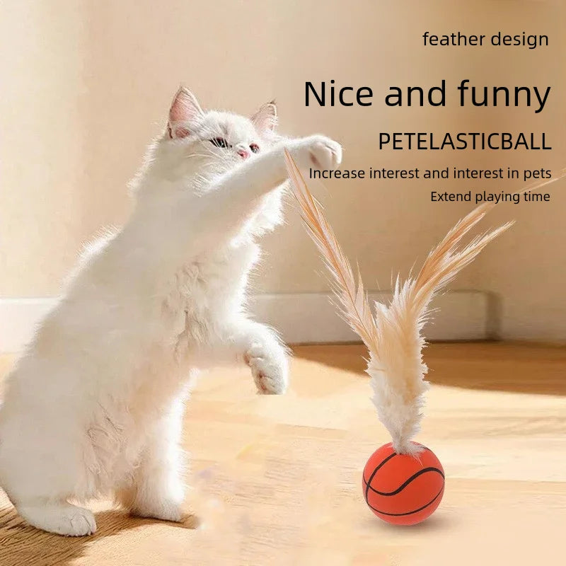 Cat Interactive Bouncing Ball Toys