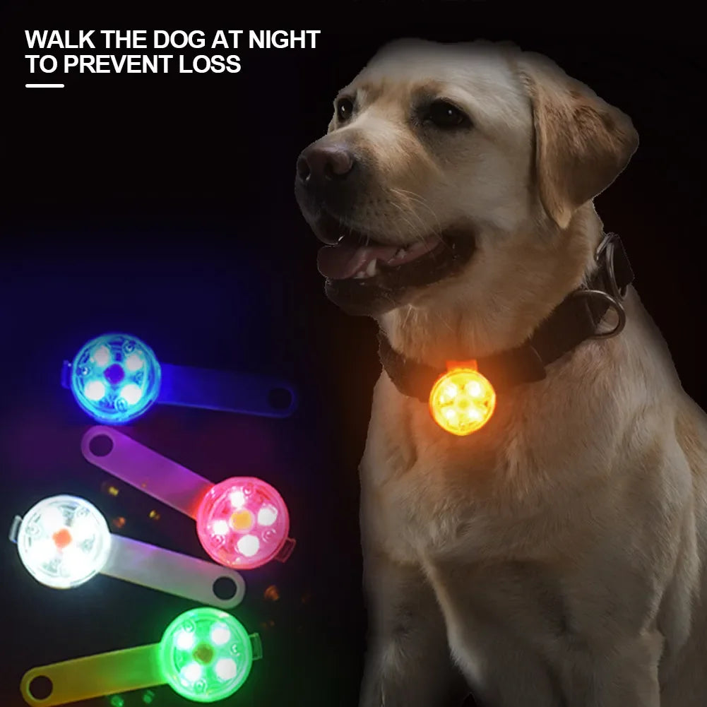 Safety LED Dogs Collars with USB Rechargeable