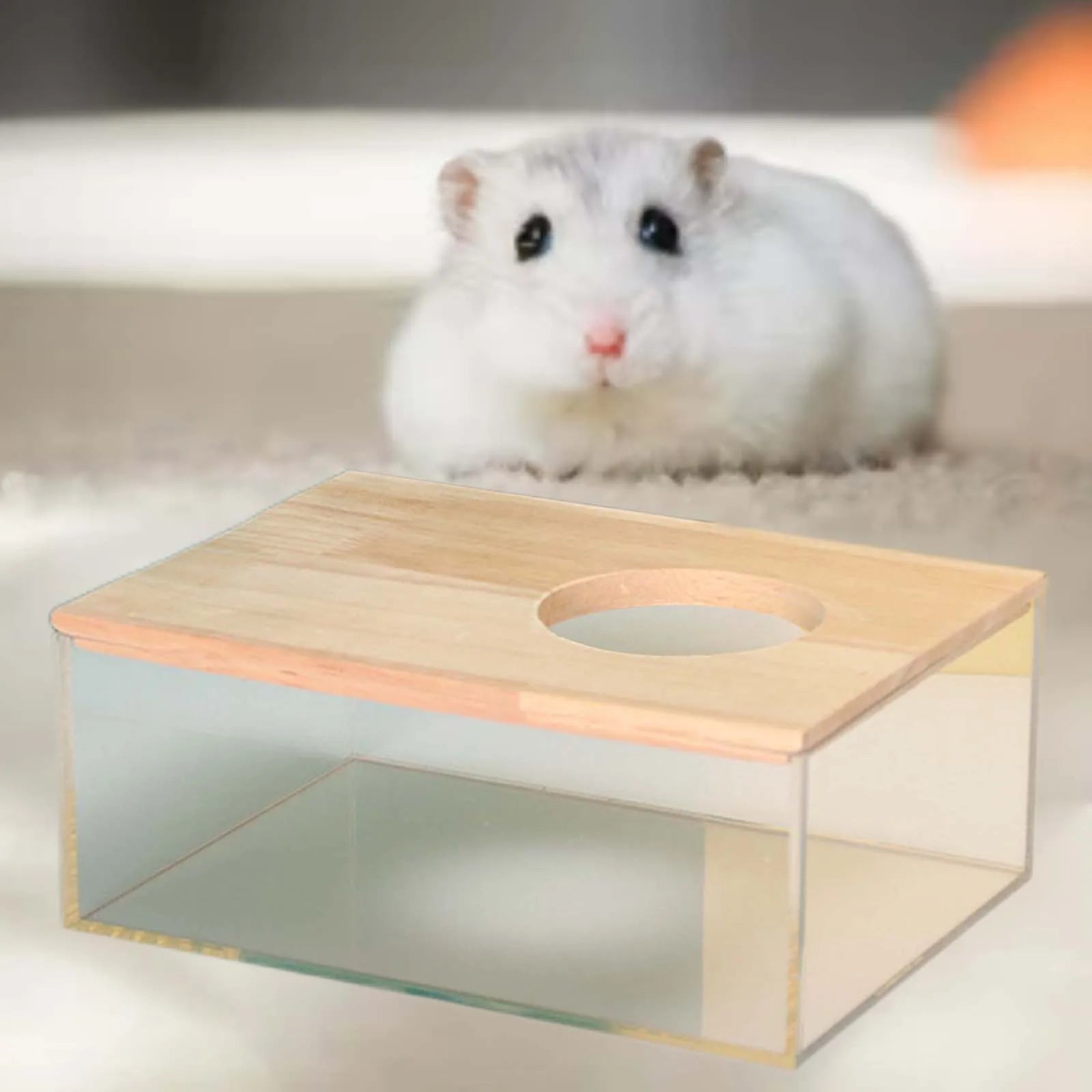 Hamster Bathroom House