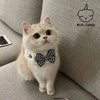 Elegant Bow Tie For Cats