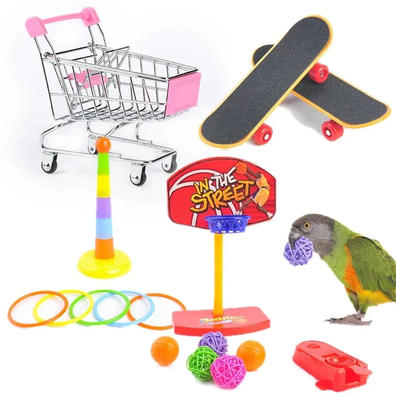 Bird Training Toy Supplies