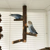 Solid Wood Standing Stick For Birds