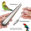 Bird Feeding Spoon Bird