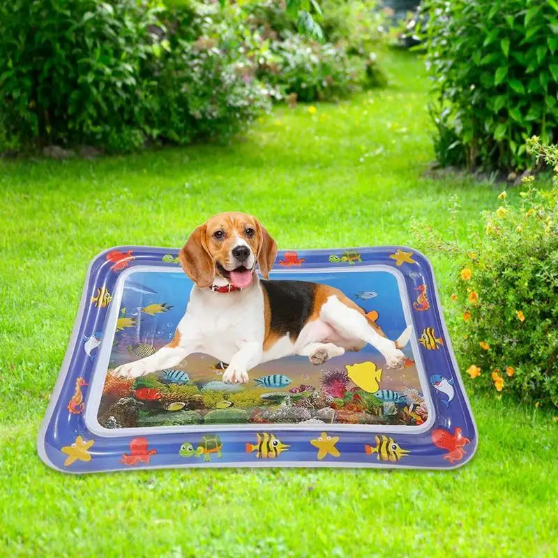 Pet Water Play Mat