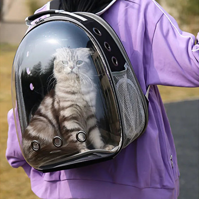 Expandable Clear Bubble Pet Backpack