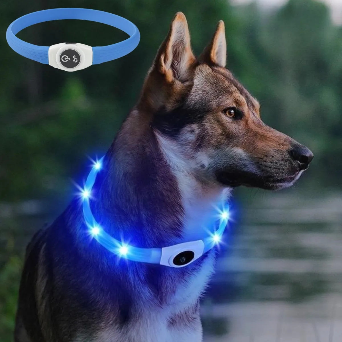 USB Night Light Pet Collar