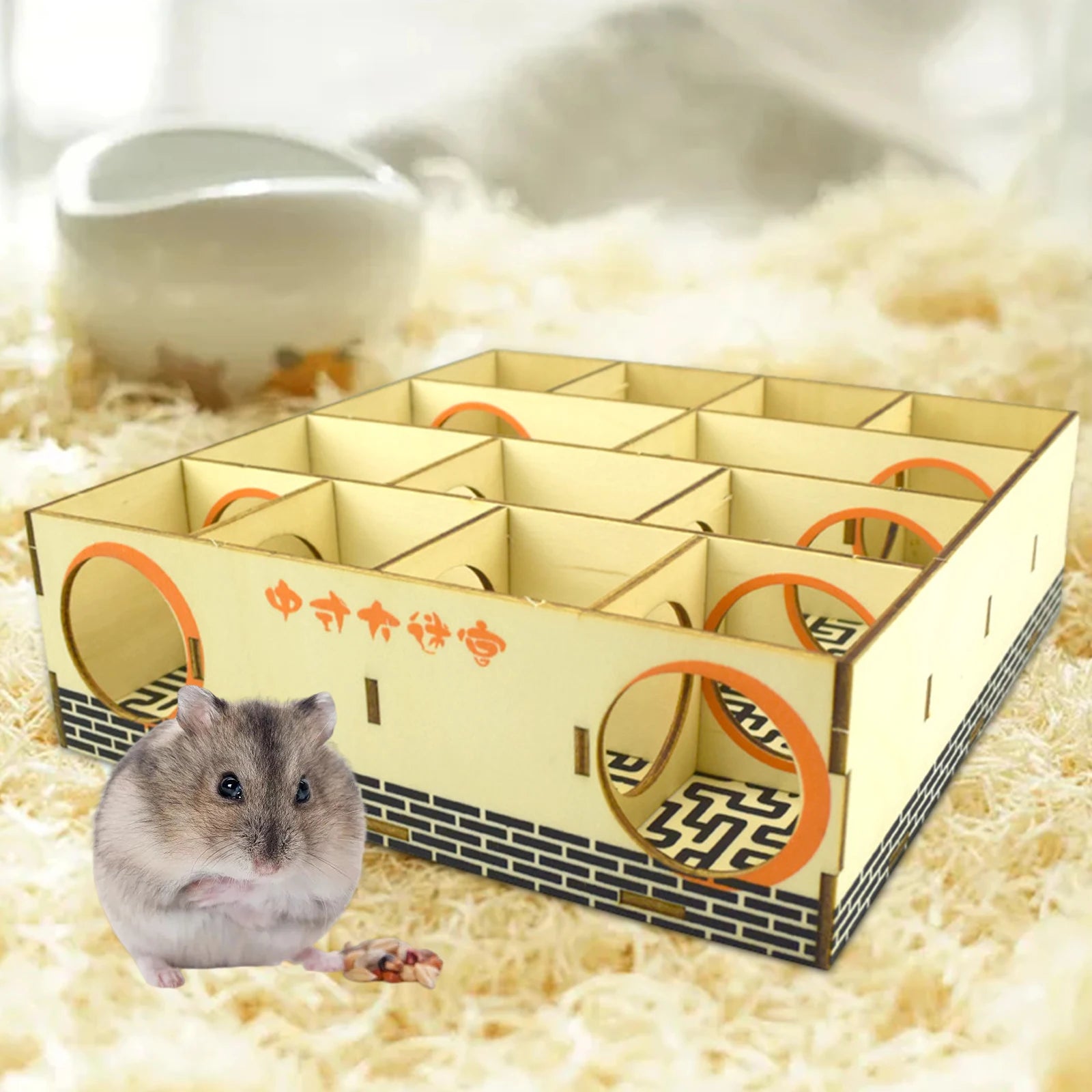 Maze For Hamsters