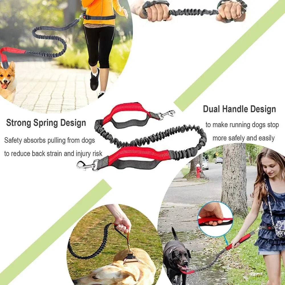 Retractable Dog Leash with Adjustable Waist Rope