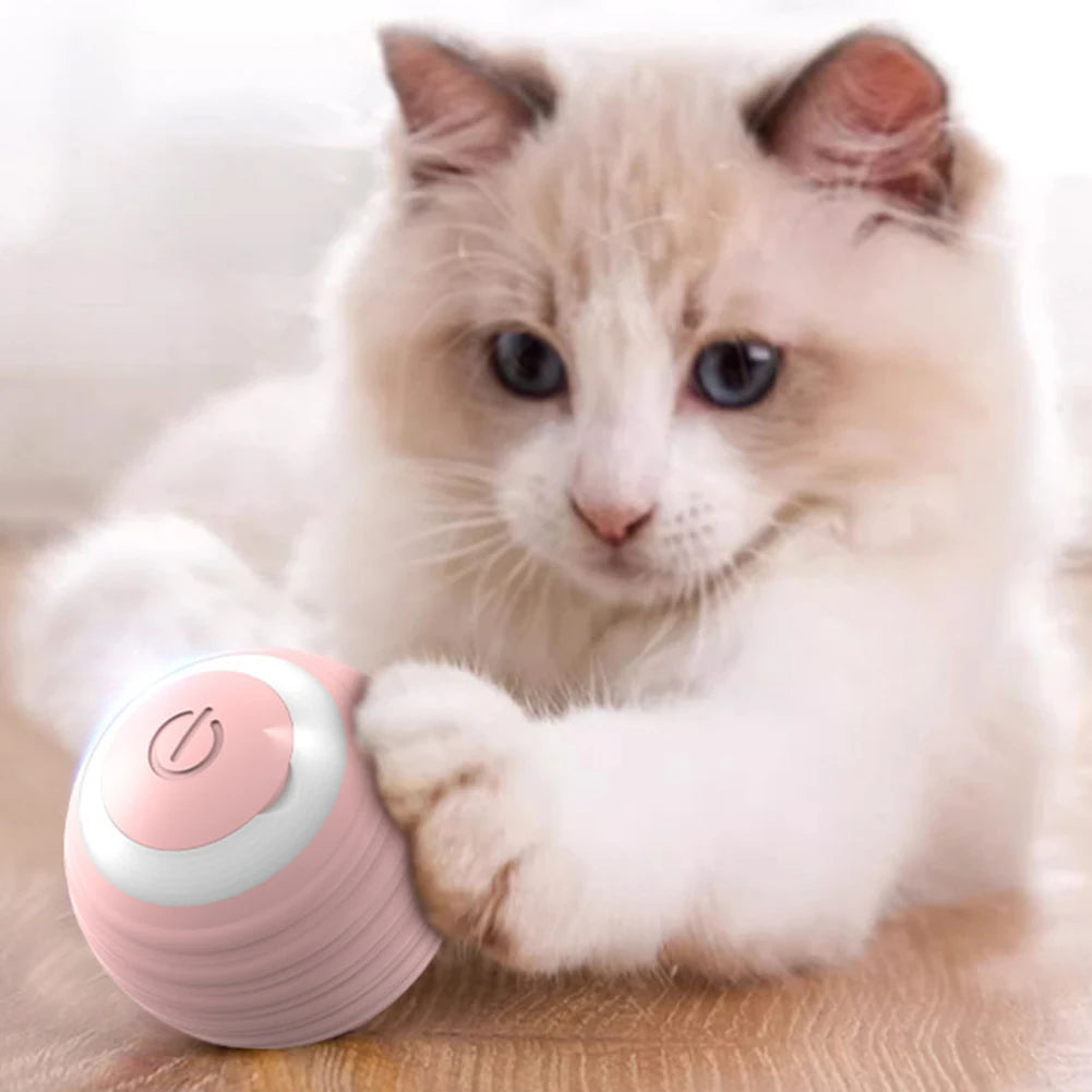 Interactive Cat Toy Ball 360° With USB Charging