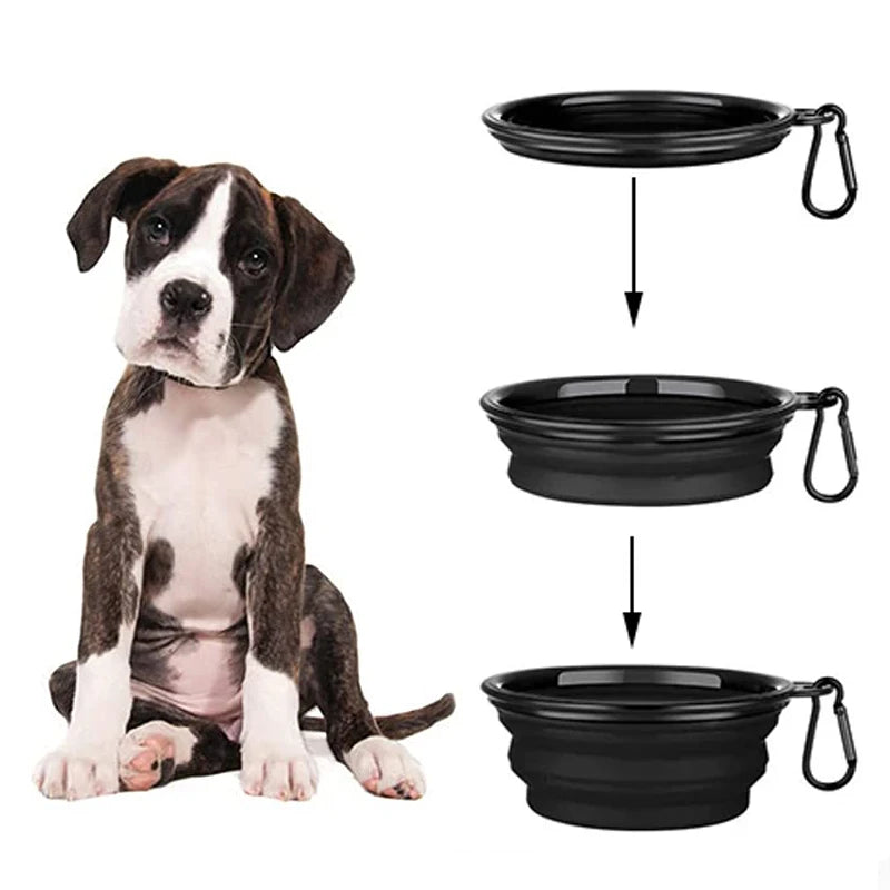 Folding Silicone Pets Feeder Bowl With Carabiner