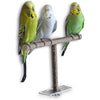 Wooden Branch for Parrots