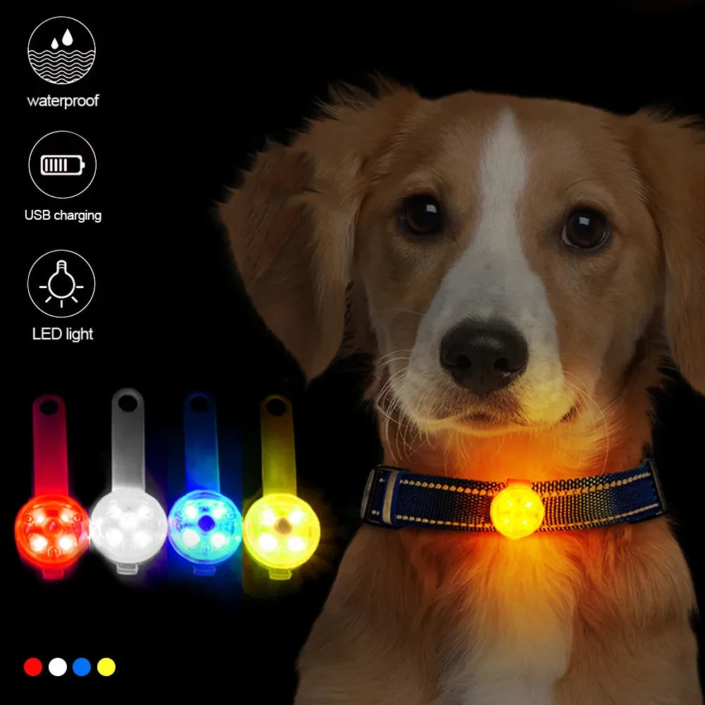 Safety LED Dogs Collars with USB Rechargeable