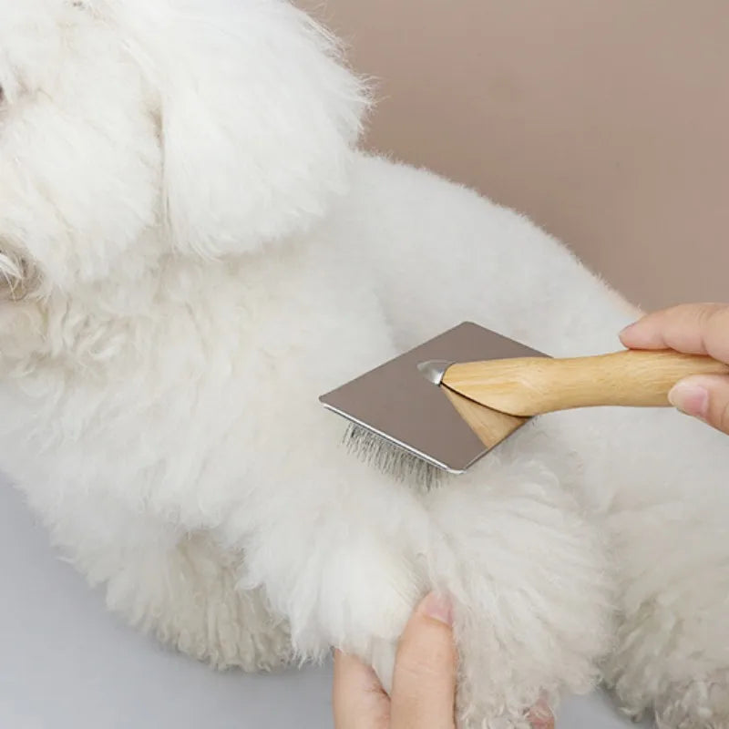 Solid wood dog brush for removing pet hair