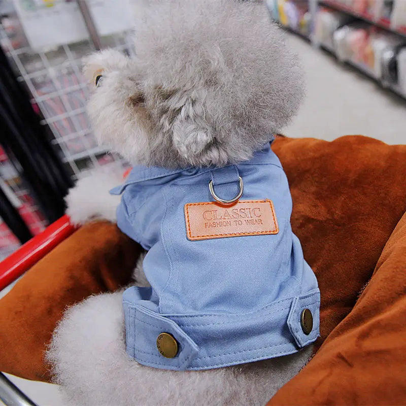 Spring denim coat for dogs