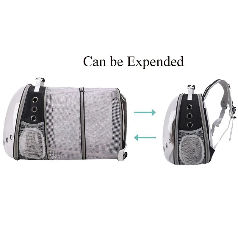 Expandable Clear Bubble Pet Backpack