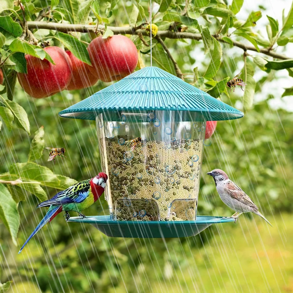 Bird Automatic Feeding Tool