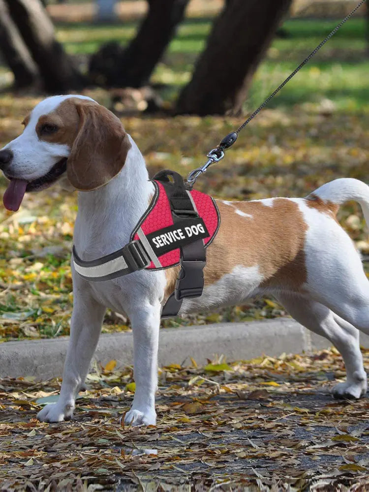 Pet Vest Harness