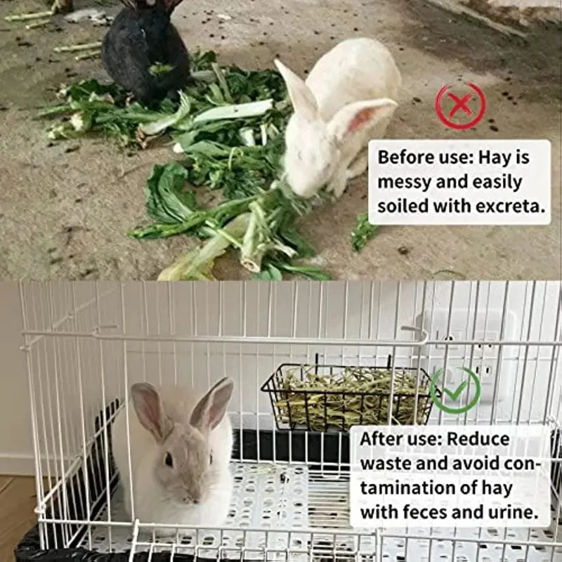 Basket of food for Rabbits