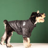 Warm and windproof jacket for French bulldog puppies