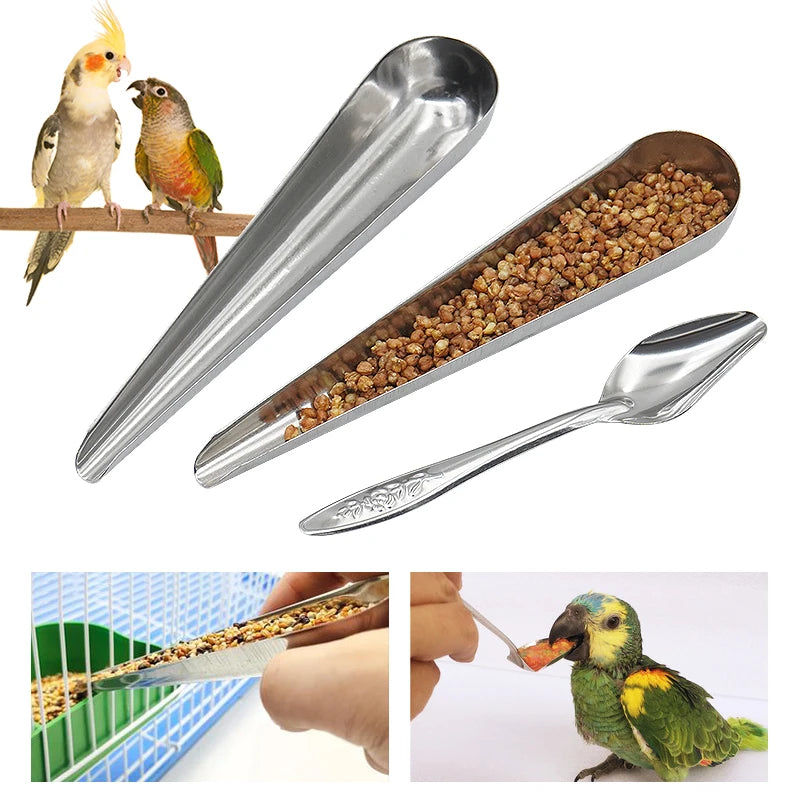 Bird Feeding Spoon Bird