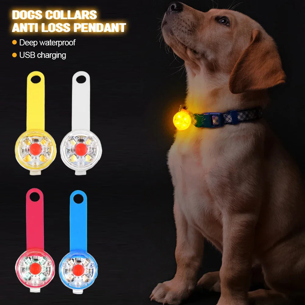 Safety LED Dogs Collars with USB Rechargeable