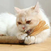 Catnip Cat Toys Natural