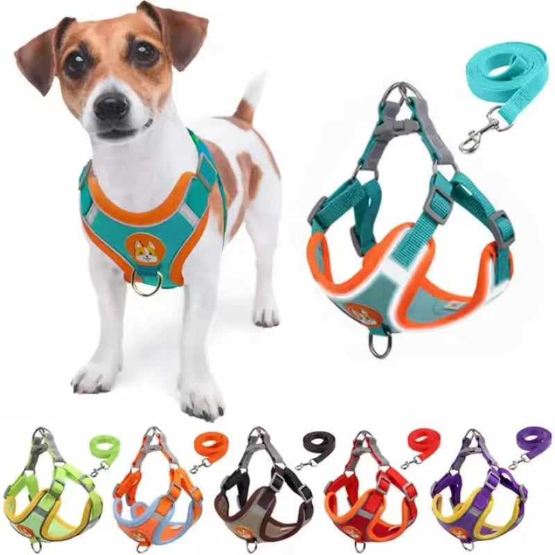 Adjustable Dog Harness And Leash Set For Small And Medium Dogs