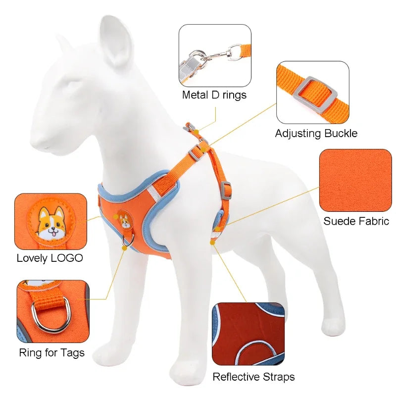 Adjustable Dog Harness And Leash Set For Small And Medium Dogs