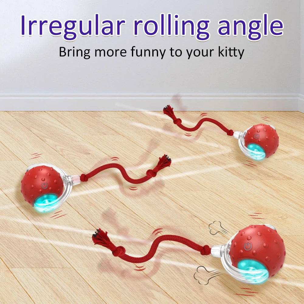 Rolling Ball With Bird Song For Cats