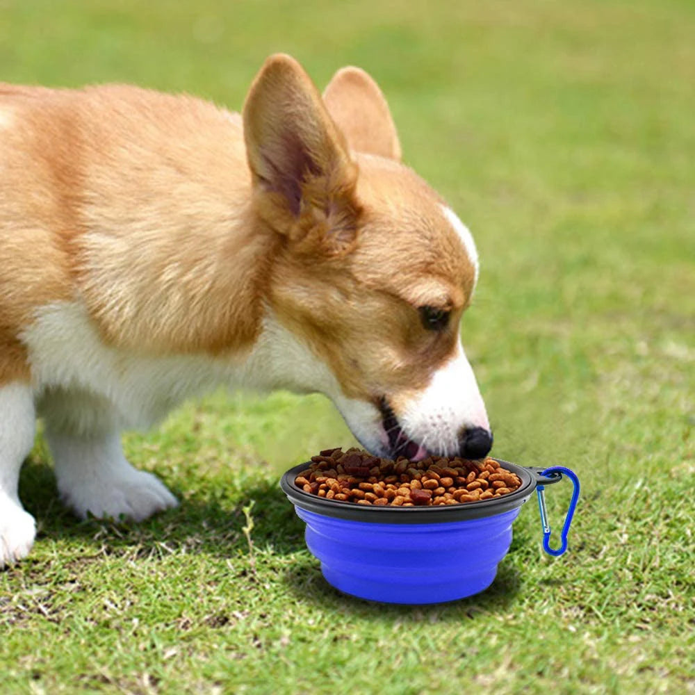 Folding Silicone Pets Feeder Bowl With Carabiner