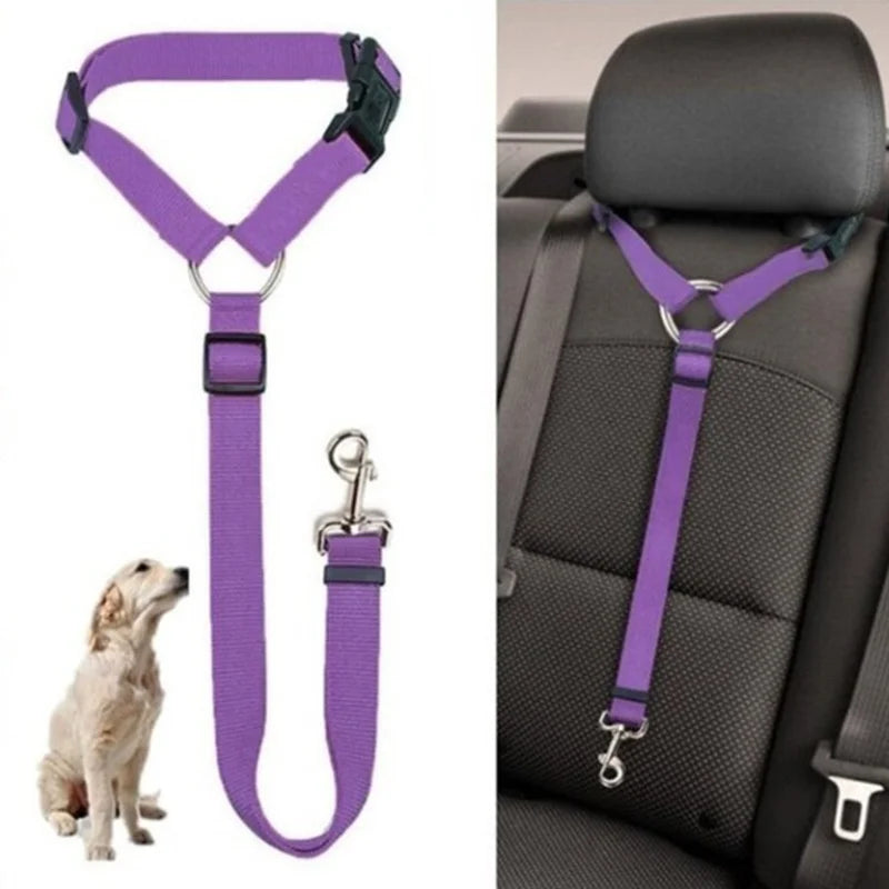 Seatbelt Secured Car Leash