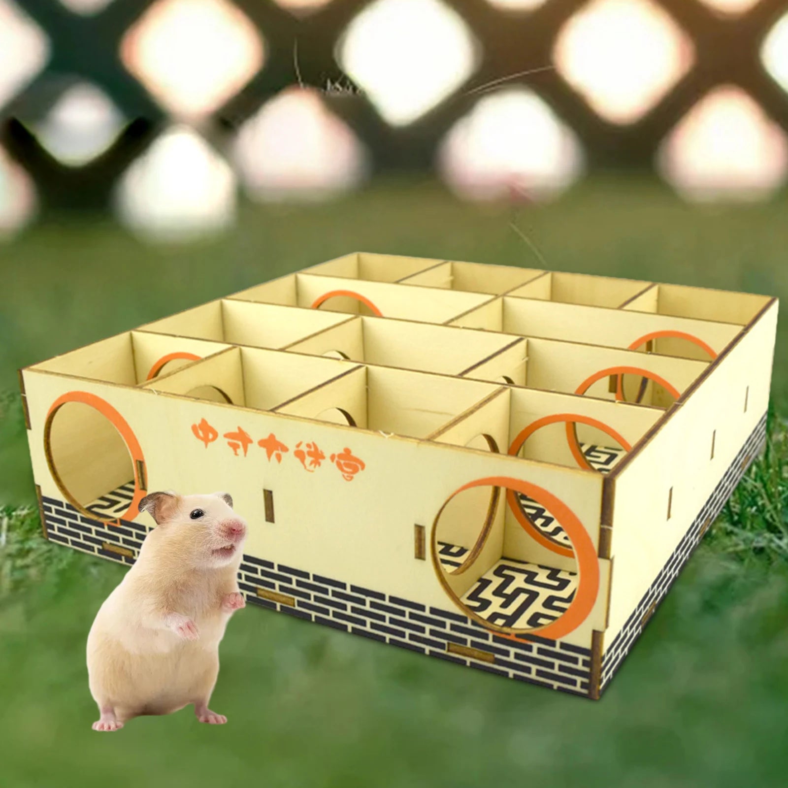 Maze For Hamsters